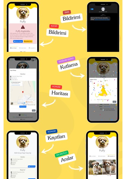 Köpekler Için Akıllı Künye, Nfc Dijital Isimlik Ve Tasma Künyesi Qr Kod Künye Paslanmaz Çelik sarı isimli Köpek Tasması, Köpek isimlik