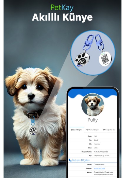 Köpekler Için Akıllı Künye, Nfc Dijital Isimlik Ve Tasma Künyesi Qr Kod Künye Paslanmaz Çelik Mavi isimli Köpek Tasması, Köpek isimlik