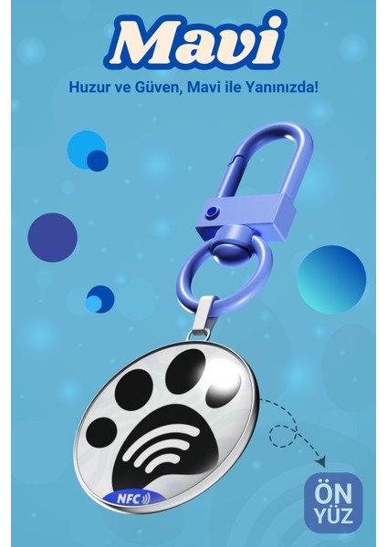 Köpekler Için Akıllı Künye, Nfc Dijital Isimlik Ve Tasma Künyesi Qr Kod Künye Paslanmaz Çelik Mavi isimli Köpek Tasması, Köpek isimlik