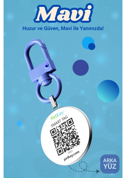 Köpekler Için Akıllı Künye, Nfc Dijital Isimlik Ve Tasma Künyesi Qr Kod Künye Paslanmaz Çelik Mavi isimli Köpek Tasması, Köpek isimlik