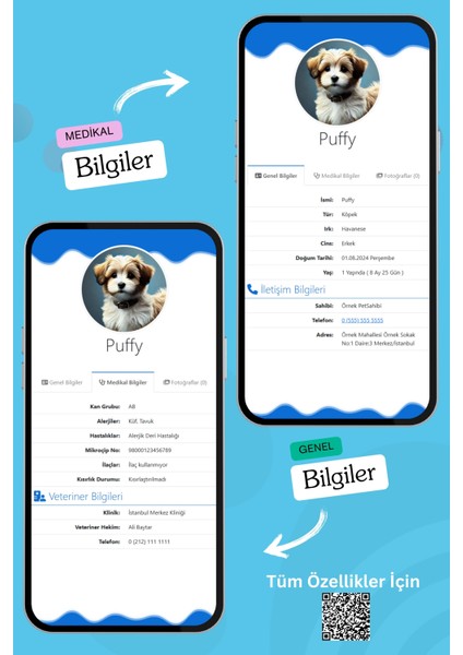Köpekler Için Akıllı Künye, Nfc Dijital Isimlik Ve Tasma Künyesi Qr Kod Künye Paslanmaz Çelik Mavi isimli Köpek Tasması, Köpek isimlik