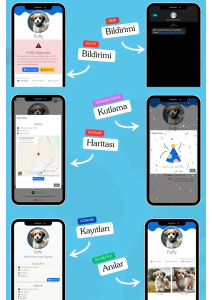 Köpekler Için Akıllı Künye, Nfc Dijital Isimlik Ve Tasma Künyesi Qr Kod Künye Paslanmaz Çelik Mavi isimli Köpek Tasması, Köpek isimlik