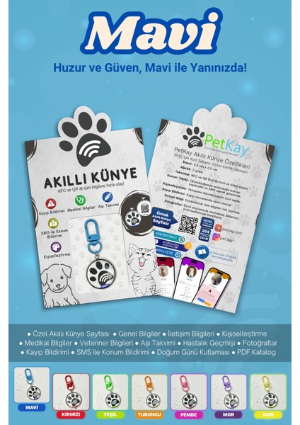Köpekler Için Akıllı Künye, Nfc Dijital Isimlik Ve Tasma Künyesi Qr Kod Künye Paslanmaz Çelik Mavi isimli Köpek Tasması, Köpek isimlik