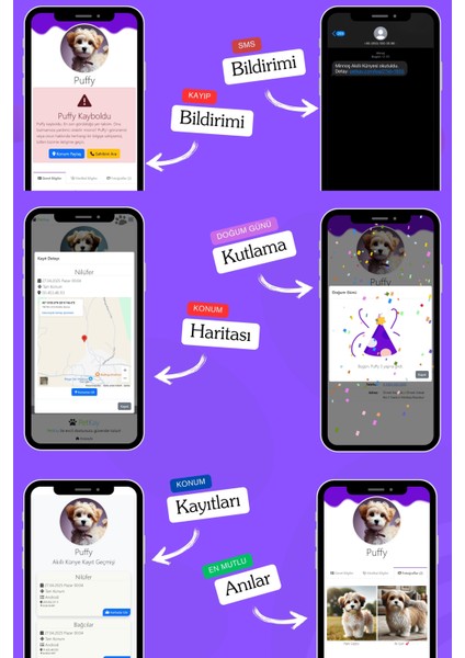 Köpekler Için Akıllı Künye, Nfc Dijital Isimlik Ve Tasma Künyesi Qr Kod Künye Paslanmaz Çelik Mor İsimli Köpek Tasması, Köpek İsimlik