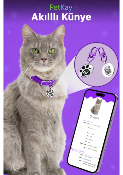 Kediler Için Akıllı Künye, Nfc Dijital Isimlik Ve Tasma Künyesi Qr Kod Künye Paslanmaz Çelik Mor İsimli Kedi Tasması, Kedi İsimlik