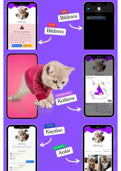 Kediler Için Akıllı Künye, Nfc Dijital Isimlik Ve Tasma Künyesi Qr Kod Künye Paslanmaz Çelik Mor İsimli Kedi Tasması, Kedi İsimlik