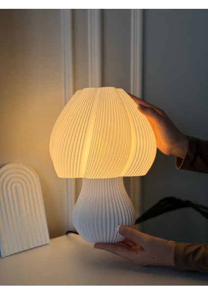 3D Dekoratif Modern Tasarımlı Şık ve Zarif Sahra Yıldızı Abajur Aydınlatma modelleri