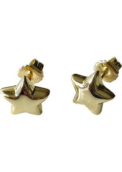 Nu 11 Yıldız Gümüş Küpe MS3210, 925 Ayar Gümüş, Ithal Ürün