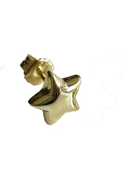 Nu 11 Yıldız Gümüş Küpe MS3210, 925 Ayar Gümüş, Ithal Ürün fiyatları