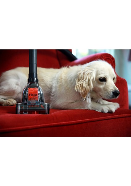 Forever Turbo Başlıklı C5 Cat&dog 900W Çift Turbo Fırçalı Toz Torbasız Elektrikli Süpürge