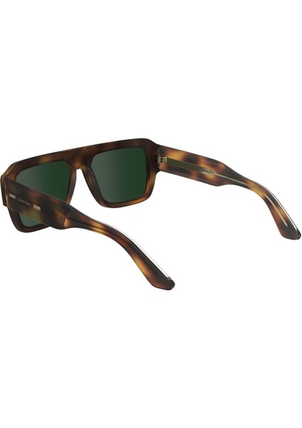 CK24501S 240 Kadın Güneş Gözlüğü modelleri