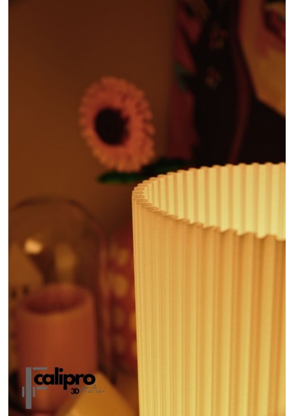 Modern ve Şık Abajur: Madrid modelleri