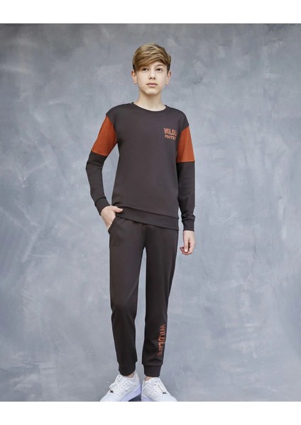 Şirin Giyim Elsima B3164 Erkek Çocuk Pijama Takimi fiyatları