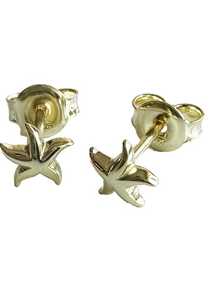 Nu 7 Yıldız Gümüş Küpe MS3206, 925 Ayar Gümüş, Ithal Ürün