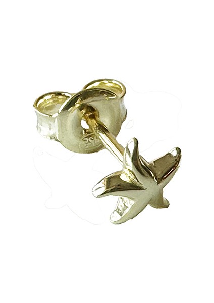 Nu 7 Yıldız Gümüş Küpe MS3206, 925 Ayar Gümüş, Ithal Ürün fiyatları