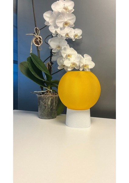 Star Modern Abajur modelleri