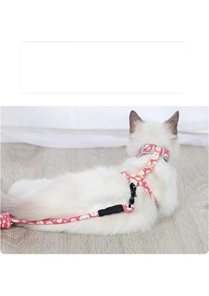 Kedi Gezdirme Göğüs Tasması
