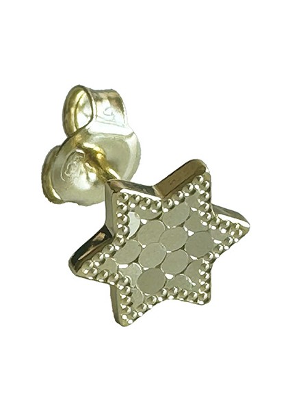 Nu 5 Yıldız Gümüş Küpe MS3204, 925 Ayar Gümüş, Ithal Ürün fiyatları