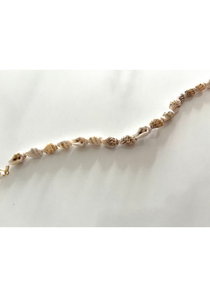 Deniz Kabuğu Bileklik modelleri