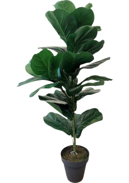 Yapay Ağaç Kauçuk 100 cm