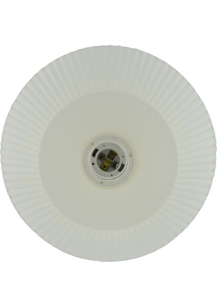 Whitepearl Modern Abajur