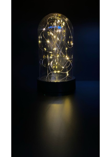 Dekoratif Gün Işığı Ledli Mika Fanus Tıp Bayramı Teraryum Pilli Gece Lambası