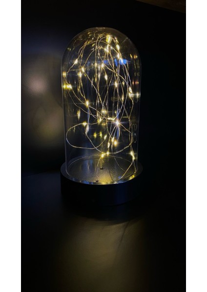 Dekoratif Gün Işığı Ledli Mika Fanus Tıp Bayramı Teraryum Pilli Gece Lambası fiyatları