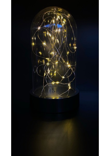 Dekoratif Gün Işığı Ledli Mika Fanus Tıp Bayramı Teraryum Pilli Gece Lambası modelleri