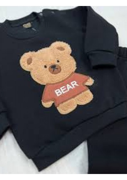 Teddy Bear Baskılı Erkek Çocuk Takımı fiyatları