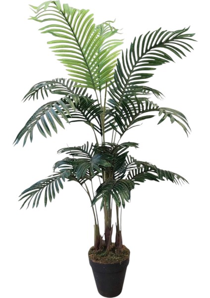 Yapay Ağaç Areka 150 cm