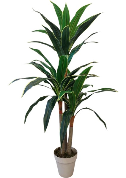 Yapay Ağaç Yucca 3lü 170 cm