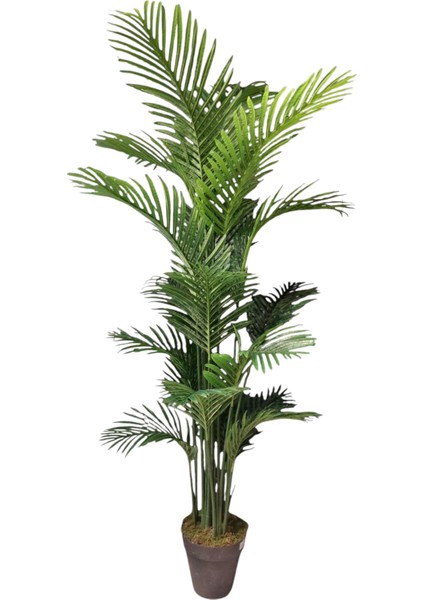 200 cm Yapay Areka Ağaç fiyatları