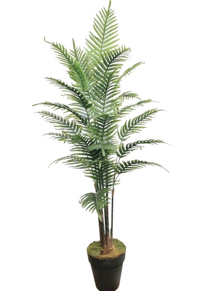 Yapay Ağaç Areka 160 cm fiyatları