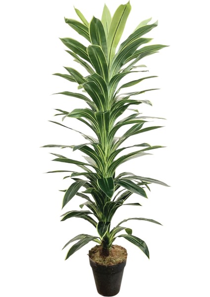 Yapay Ağaç Mısır 160 cm