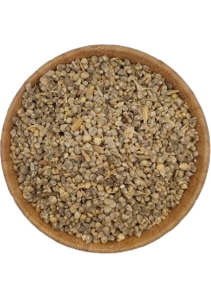 Ispanak Tohumu 25 gr