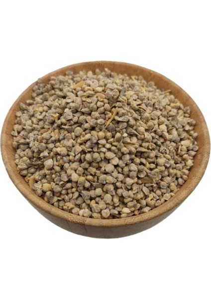 Ispanak Tohumu 25 gr