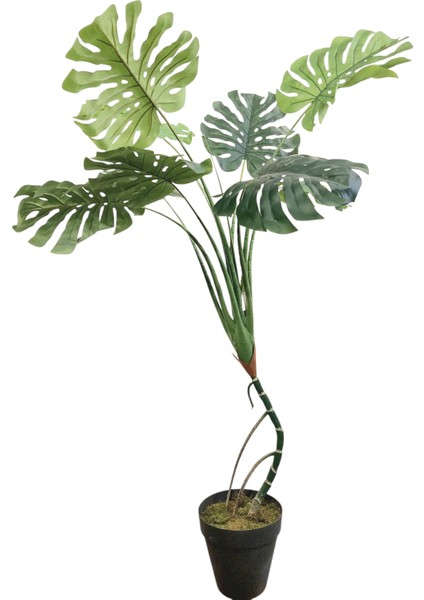 Yapay Ağaç Monstera 150 cm fiyatları