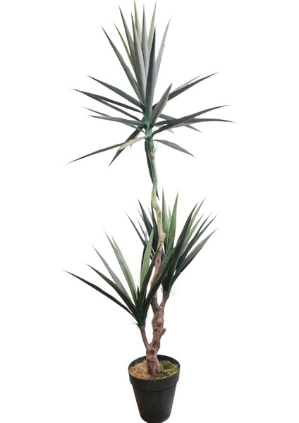 Yapay Ağaç 3 Lü Yucca 185 cm