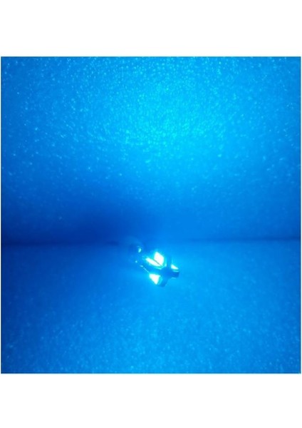 (2 x Adet) 1 Takım Canbus T10 24 LED 3030 Chıp Ice Blue (24 LED Dipsiz Ampul Buz Mavi)