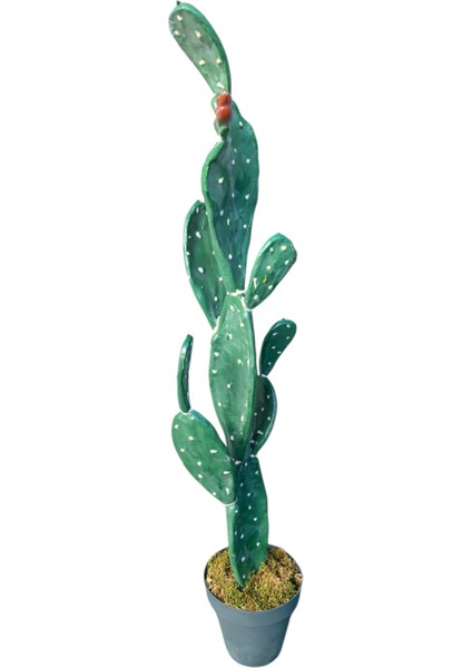 Yapay Kaktüs Bitkisi 113 cm