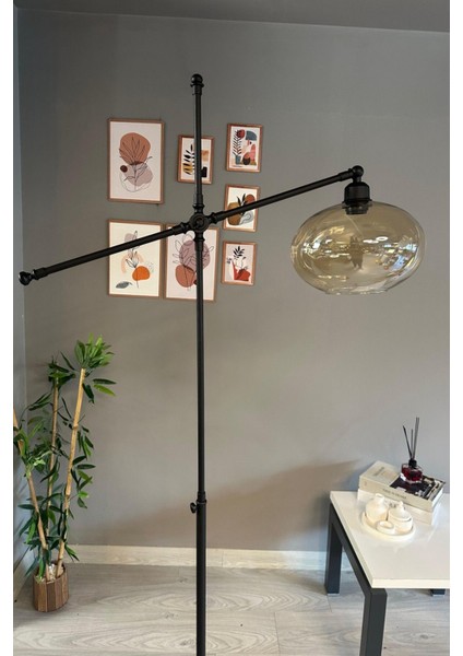 Cam Bal Rengi Lambader Siyah Metal Gövde Modern Oturma Odası fiyatları