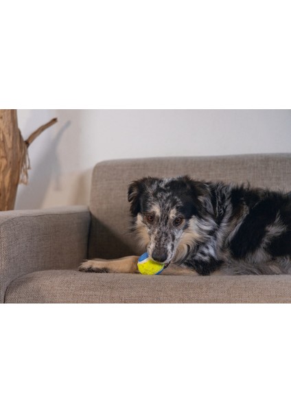 Tenis Topu 3 Lü 6.3 cm Svlrs modelleri