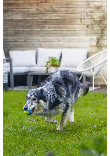 Tenis Topu 3 Lü 6.3 cm Svlrs indirimleri