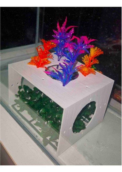 Balık Mağarası Gezinme Gizlenme Alanı 12X10X8 cm Yapay Bitkiler Dahil