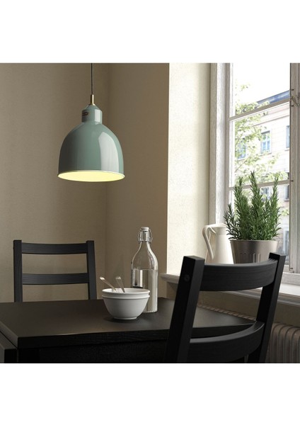 Sarkıt Lamba, Gri-Yeşil