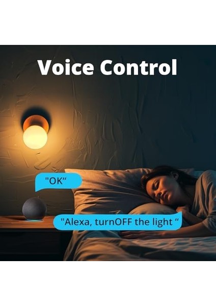 Basic R4 Akıllı Röle modelleri