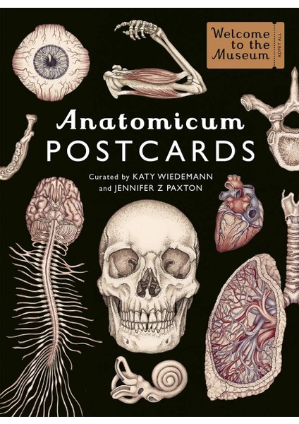 Postcard Box