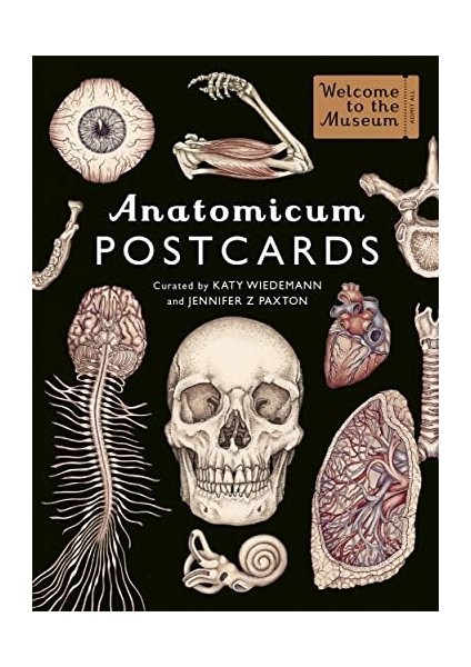 Postcard Box
