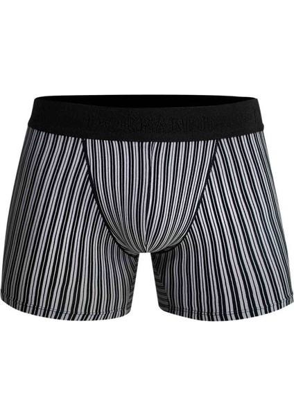 Erkek Modal Çizgi Desenli Normal Paça Boxer 1866