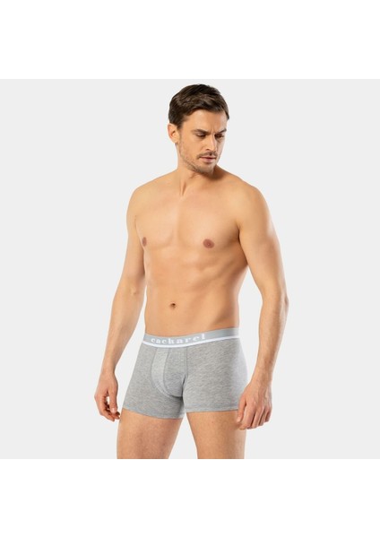 Erkek Likralı Boxer 1317/GRI modelleri